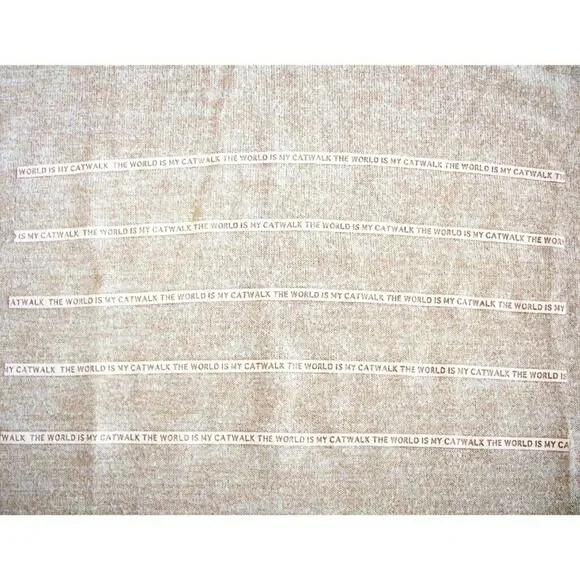 ZARA The World Is My Catwalk high low slub knit graphic tee Size S - Picture 4 of 7